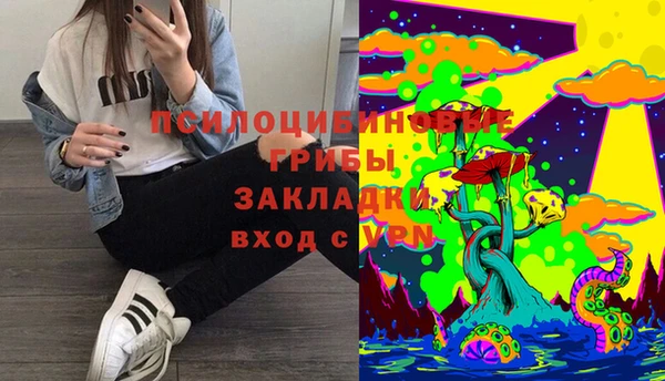 прущие грибы Горно-Алтайск