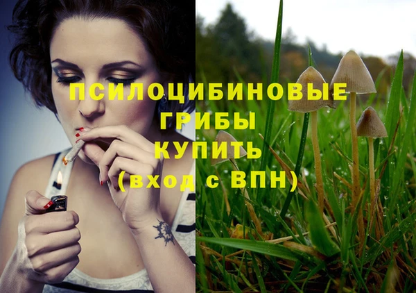 дживик Горняк