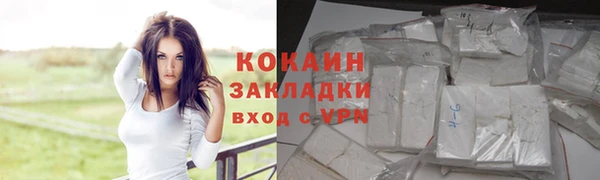 прущие грибы Горно-Алтайск