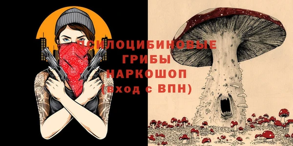 герыч Вяземский