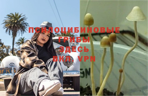 альфа пвп VHQ Болотное