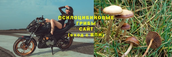 дживик Горняк