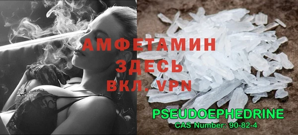 прущие грибы Горно-Алтайск