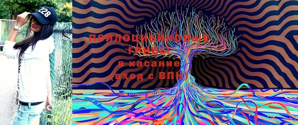 трава Вязники
