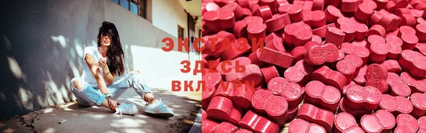 прущие грибы Горно-Алтайск